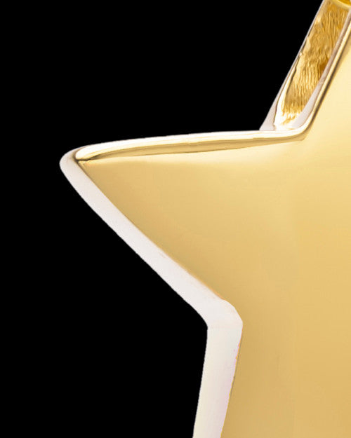 14K Gold Sliding Star Cremation Keepsake