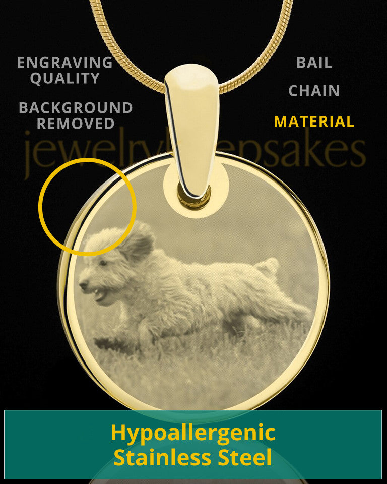 Photo Engraved Round Pet Pendant Gold Plated over Stainless Steel