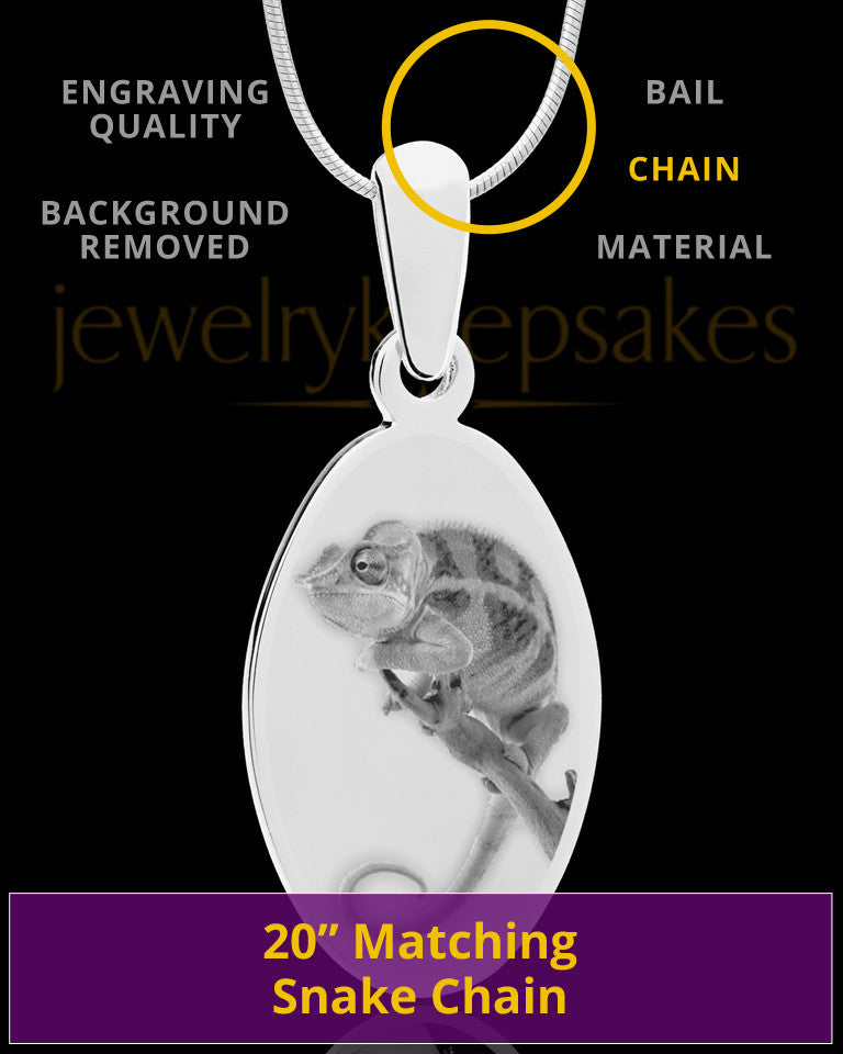 Photo Engraved Oval Pet Pendant Stainless Steel