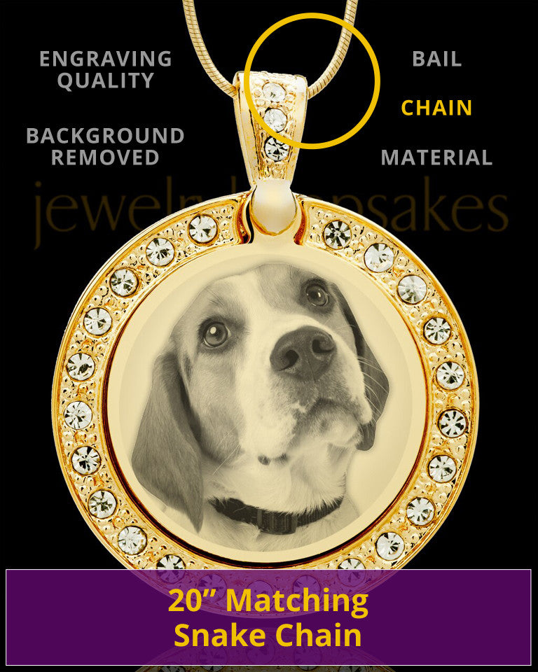 Photo Engraved Gem Circle Pet Pendant Gold Plated over Stainless
