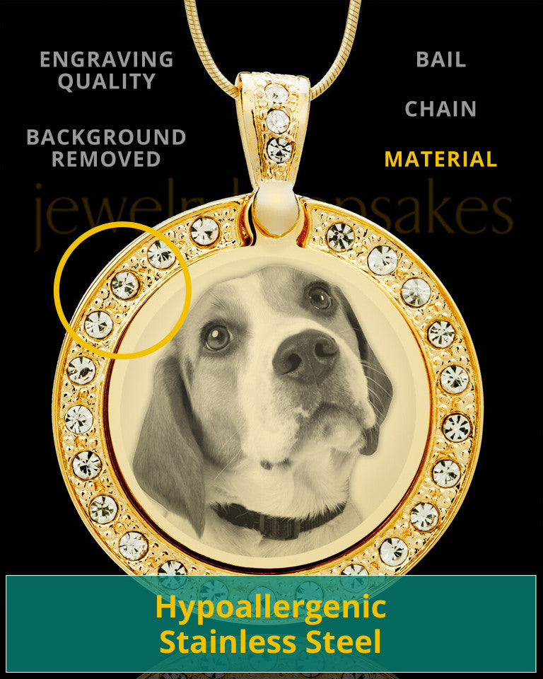 Photo Engraved Gem Circle Pet Pendant Gold Plated over Stainless