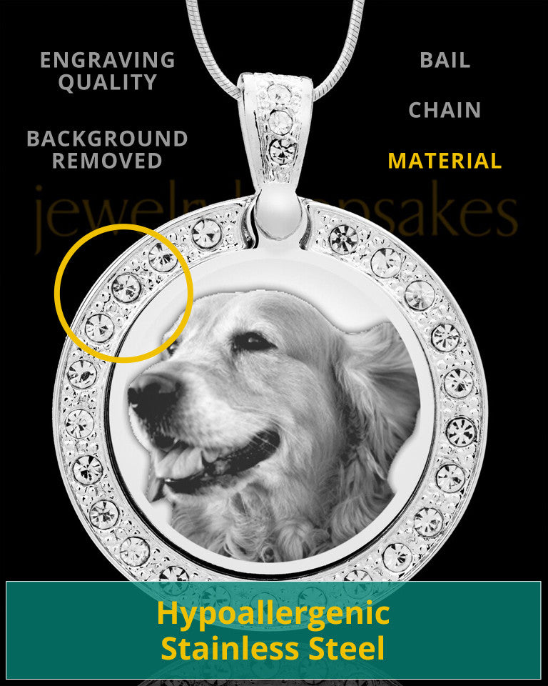 Photo Engraved Gem Circle Pet Pendant Stainless Steel