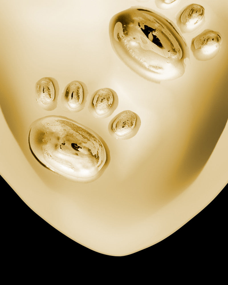 14k Gold Cremation Jewelry By Your Side Heart Keepsake