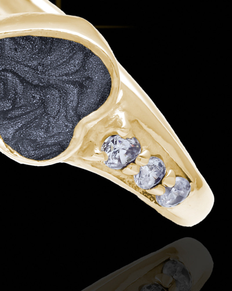 Solid 14K Gold Ladies Isadora with Graphite Ash Ring