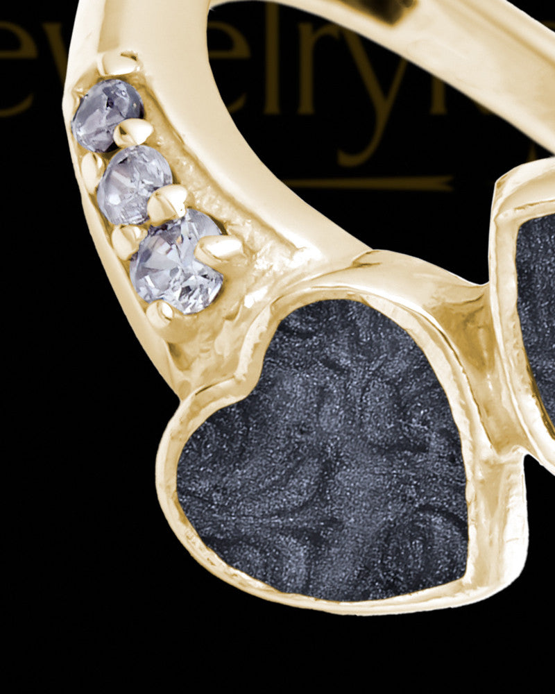 Solid 14K Gold Ladies Isadora with Graphite Ash Ring