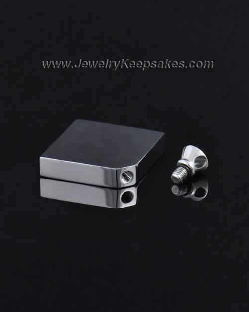 Stainless Steel Beloved Diamond Cremation Keepsake