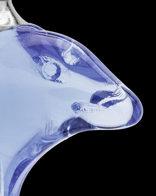 Urn Necklace Blue Aquatic Glass Locket