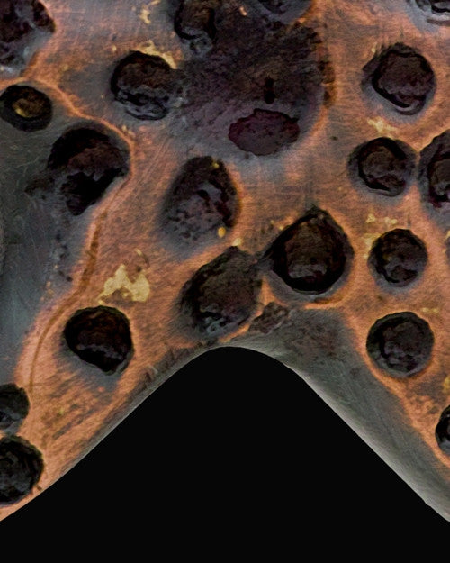 Copper Starfish Cremation Pendant