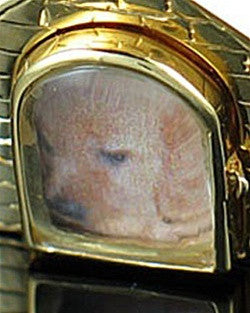 Pet Urn Jewelry Gold Vermeil Dog House Keepsake