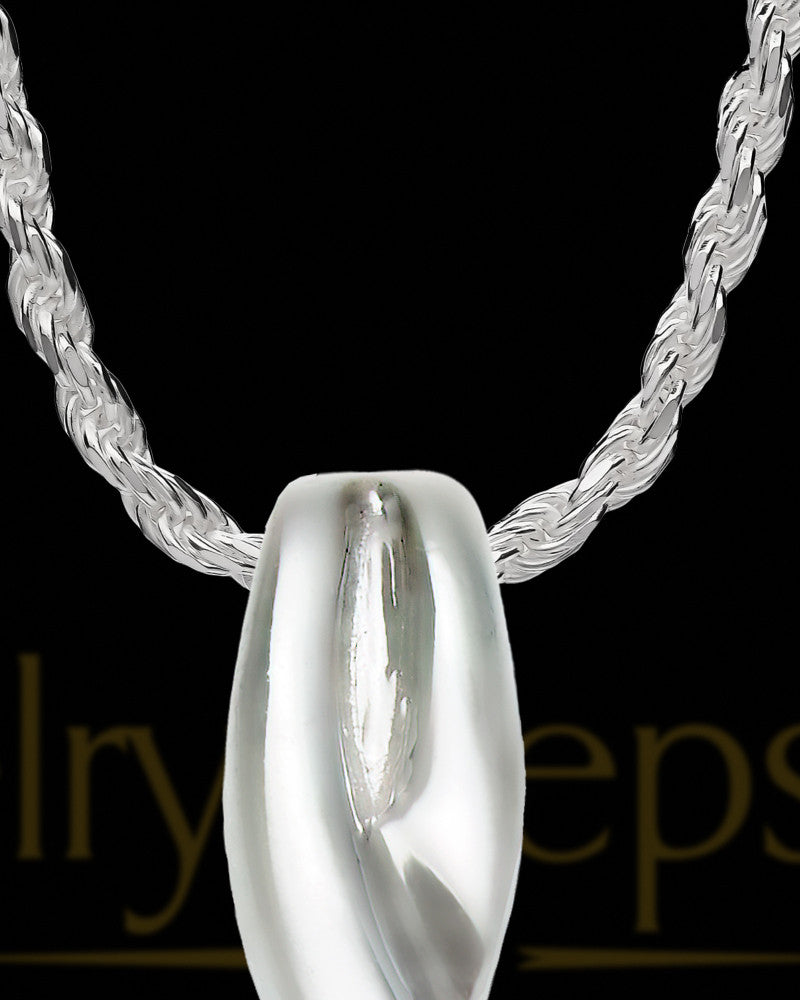 Sterling Silver Soft Spoken Cremation Necklace