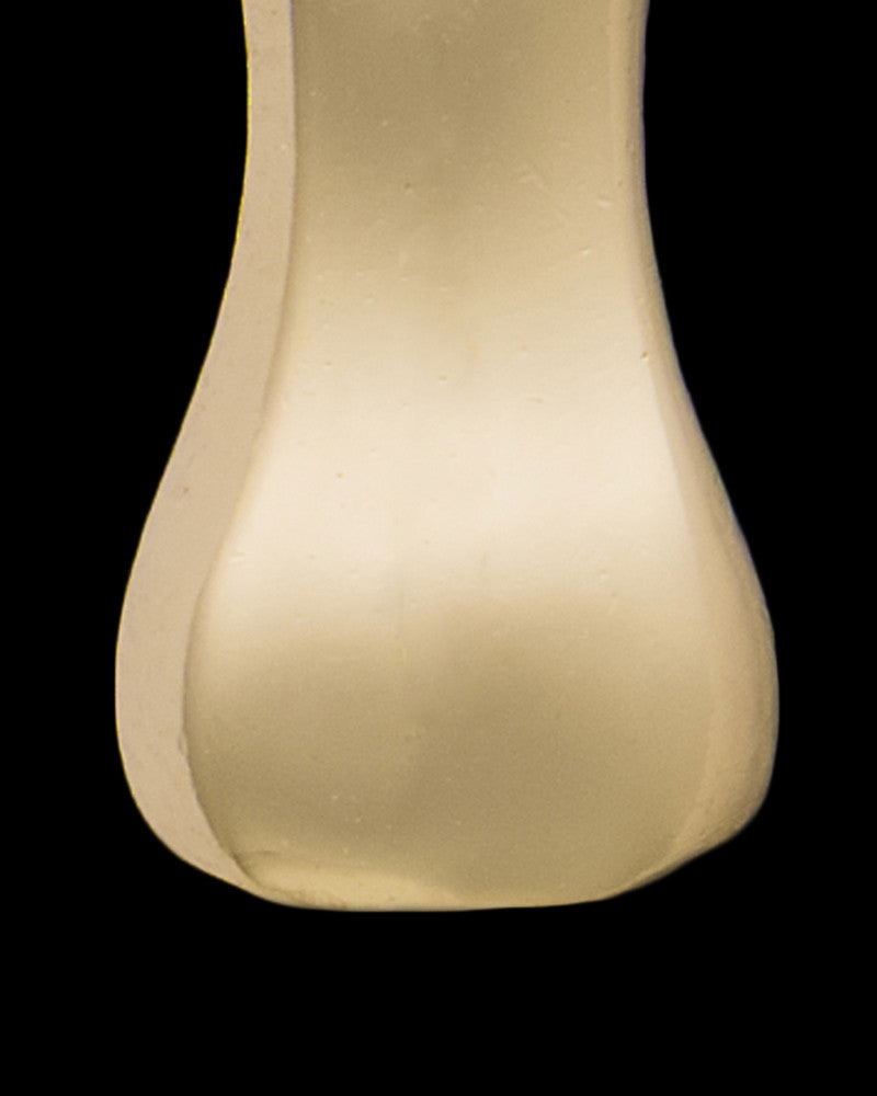 Gold Plated Over Sterling Best Pal Bone Permanently Sealed Waterproof Jewelry