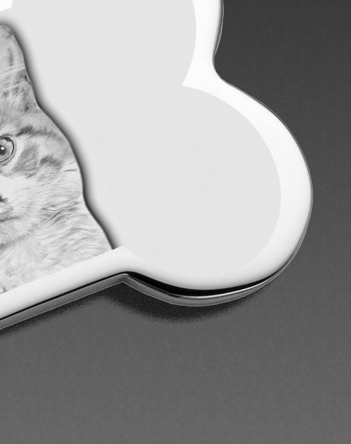 Keychain Pet Memorial Jewelry Silver Plated Bone Photo Engraved