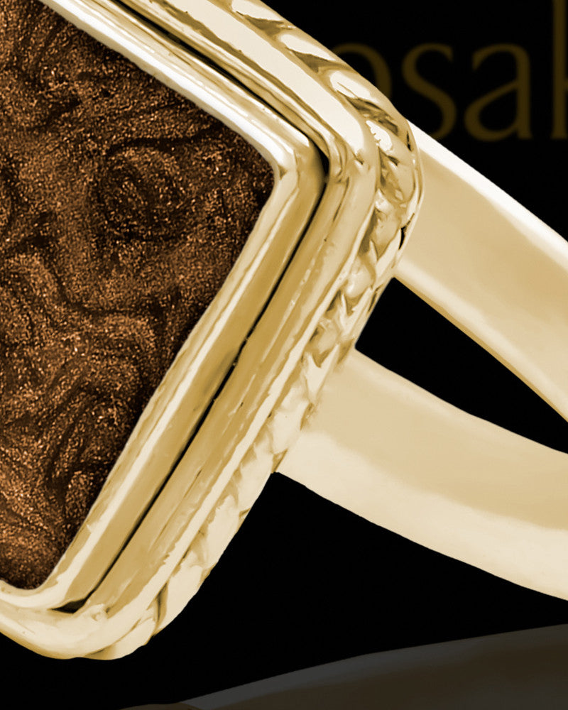 Solid 14K Gold Ladies Calliope with Coffee Ash Ring