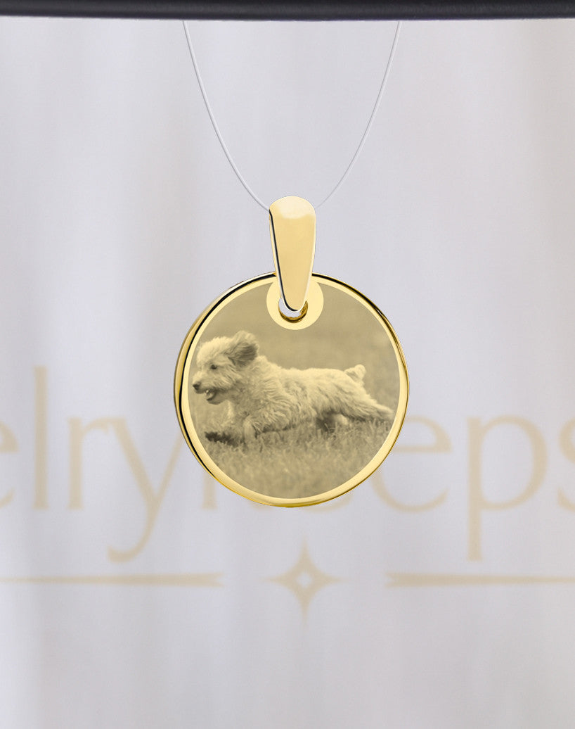 Round Gold Pet Picture Reflection