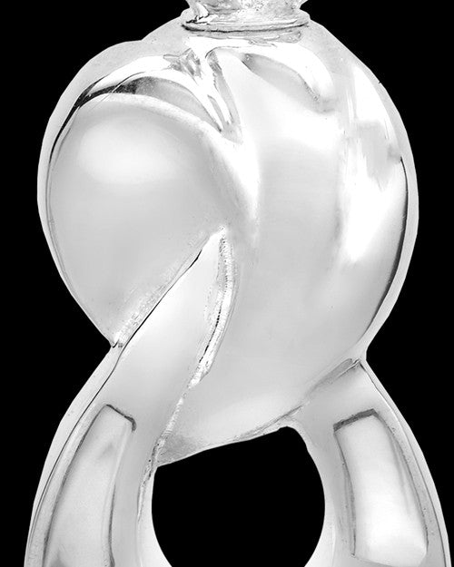 14K White Gold 2 Person Contemporary Companion Infinity Ash Pendant