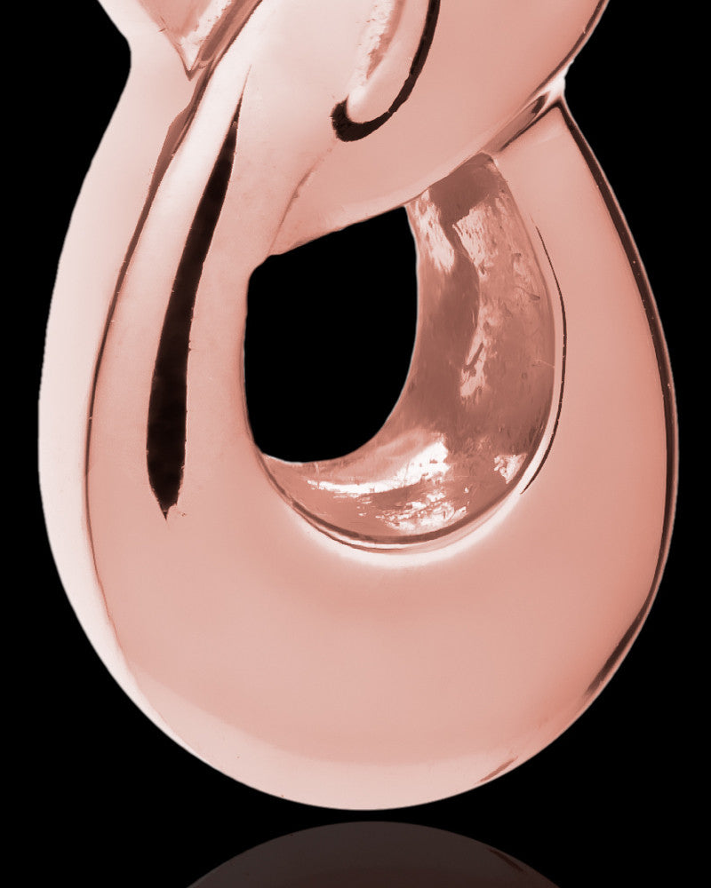 14K Rose Gold Infinity Companion Locket - 2 Person
