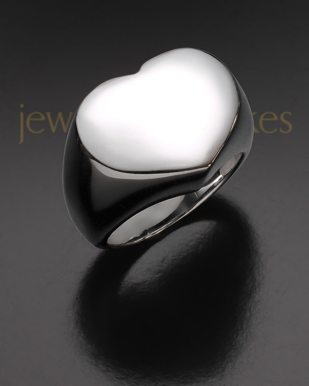 Ladies Silver Devotion Ring Keepsake Jewelry