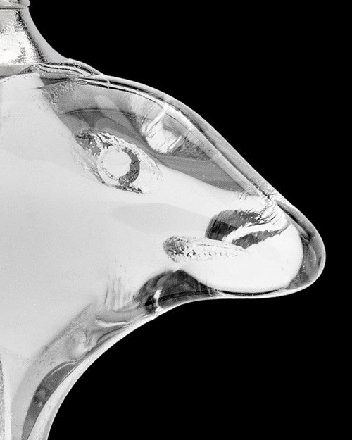 Urn Necklace Clear Aquatic Glass Locket