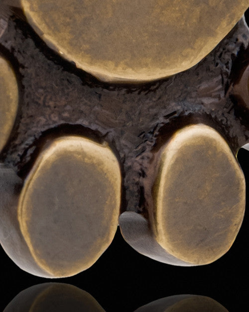 Brass Petite Paw Cremation Pendant