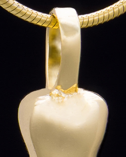 Gold Plated Best Pal Bone Keepsake Jewelry